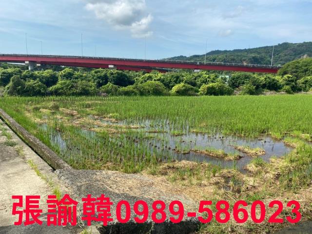 草屯農地-1