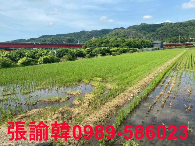 草屯農地-2