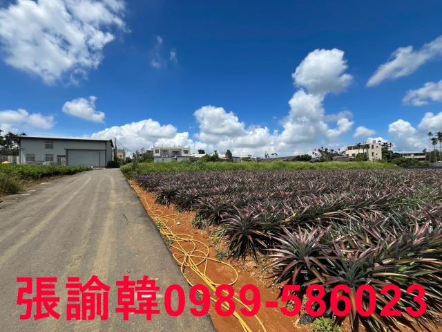 南投市農地-9