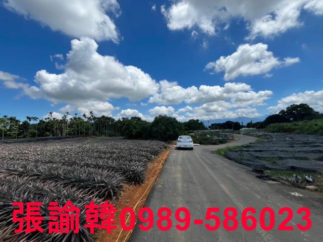 南投市農地-7