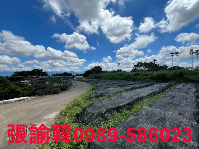南投市農地-8