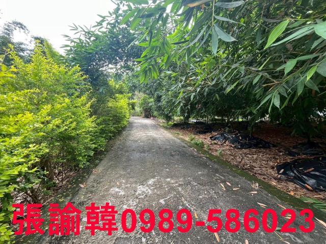 南投草屯山坡地-5