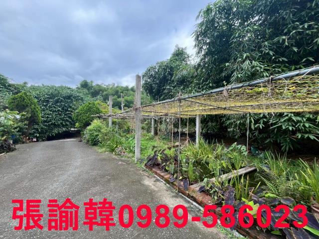 南投草屯山坡地-14