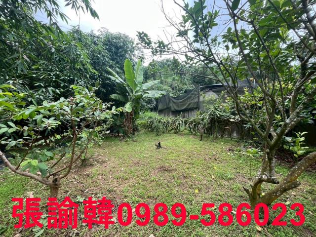 南投草屯山坡地-13