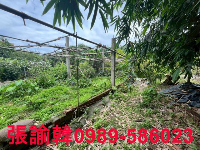 南投草屯山坡地-9