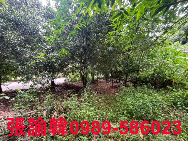 南投草屯山坡地-7